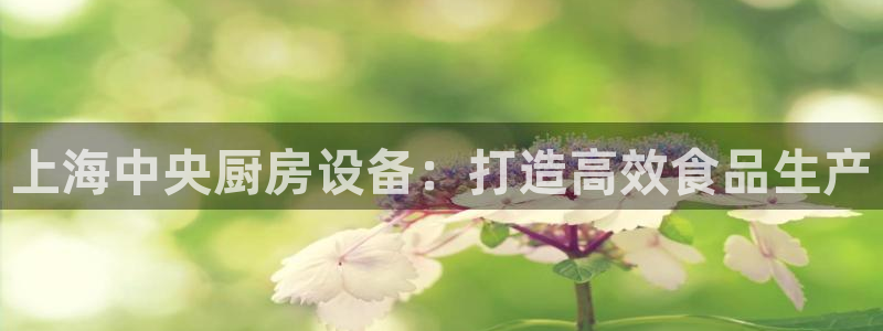 尊龙登录首页：上海中央厨房设备：打造高效食品生产
