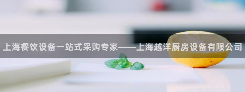 尊龙新版app首页：上海餐饮设备一站式采购专家——上海越洋厨