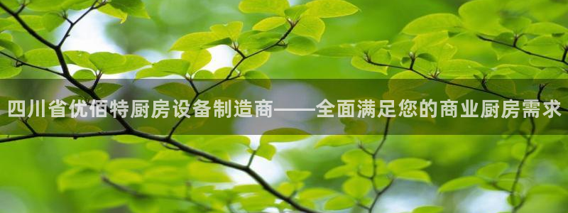 尊龙凯时平台还是万博好：