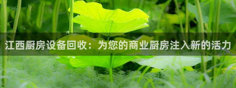 尊龙人生就是博客服：江西厨房设备回收：为您的商业厨房注入新的