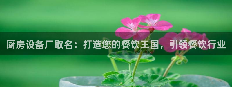 尊龙凯时网娱乐官网：厨房设备厂取名：打造您的餐饮王国，引领餐
