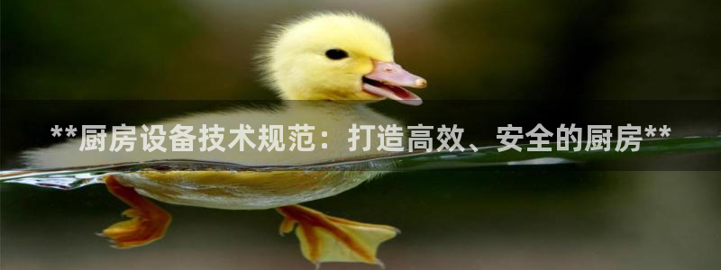 凯时最新官方APP下载：
