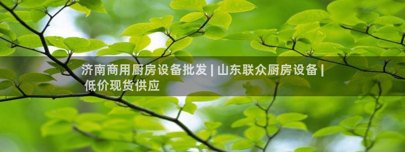 尊龙凯时ag旗舰厅：济南