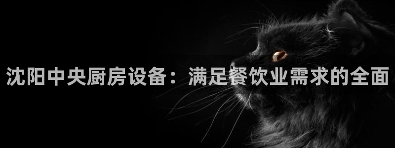 尊龙d88官网登录下载：沈阳中央厨房设备：满足餐饮业需求的全