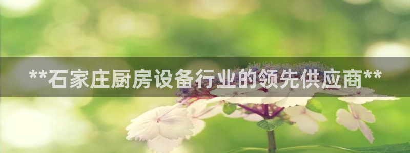 尊龙凯时和九游会哪个平台好一点：**石家庄厨房设备行业的领先