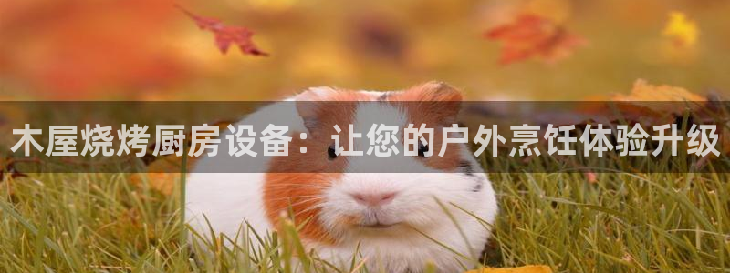 z6尊龙z6：木屋烧烤厨