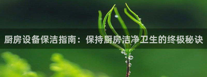 凯时app赢AG发财网来就送38：厨房设备保洁指南：保持厨房