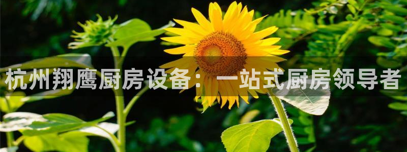 尊龙凯时-人生就是博中国官网最新：杭州翔鹰厨房设备：一站式厨