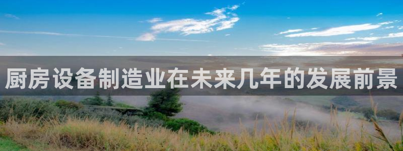 尊龙 国外：厨房设备制造业在未来几年的发展前景