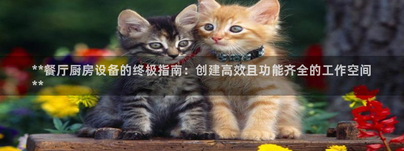 d88尊龙凯时：**餐厅厨房设备的终极指南：创建高效且功能齐