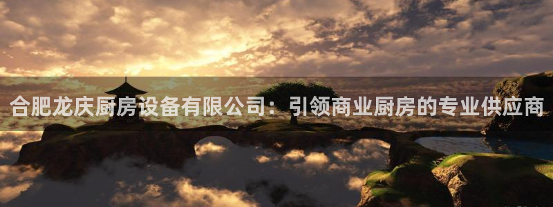 凯时AG网：合肥龙庆厨房设备有限公司：引领商业厨房的专业供应