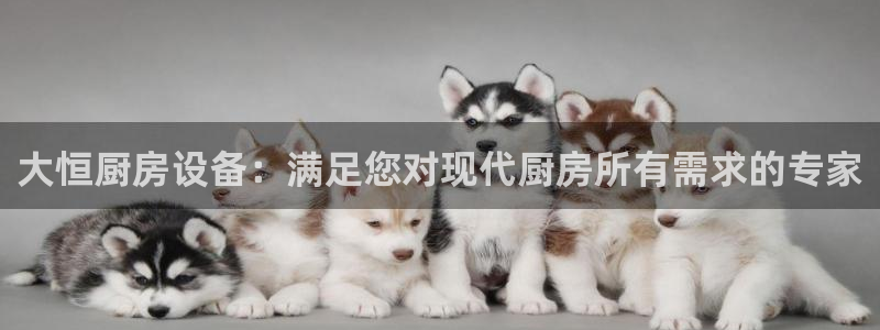 尊龙手机端下载：大恒厨房设备：满足您对现代厨房所有需求的专家