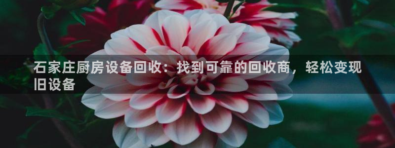 尊龙凯时国际：石家庄厨房