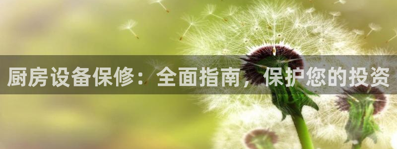 Z6尊龙凯时登录：厨房设备保修：全面指南，保护您的投资