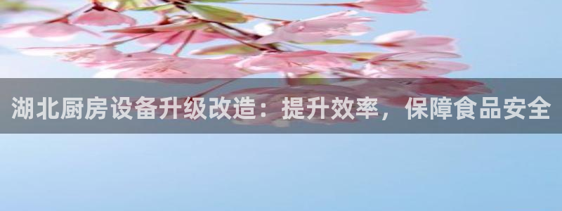 尊龙凯时集团：湖北厨房设备升级改造：提升效率，保障食品安全