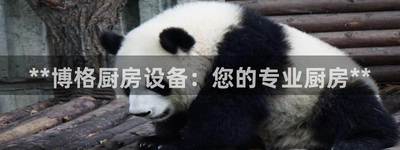z6尊龙平台是哪里的：**博格厨房设备：您的专业厨房**