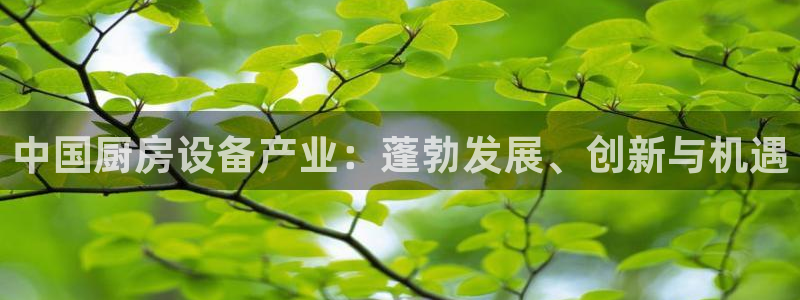 尊龙人生就是博管网：中国厨房设备产业：蓬勃发展、创新与机遇