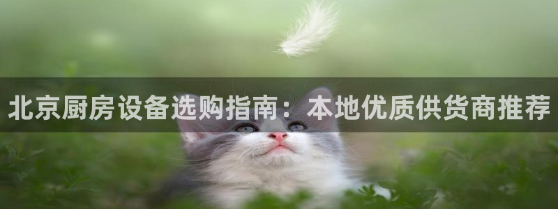 凯时国际网站域名：北京厨房设备选购指南：本地优质供货商推荐