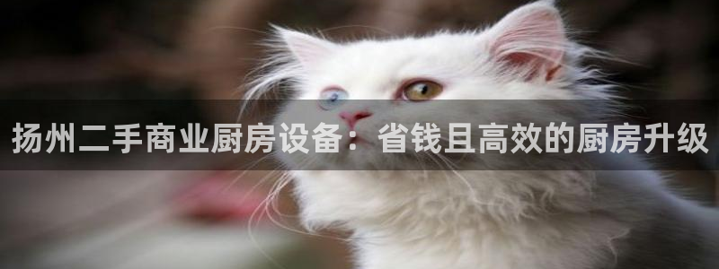凯时国际平台有人赢吗：扬州二手商业厨房设备：省钱且高效的厨房