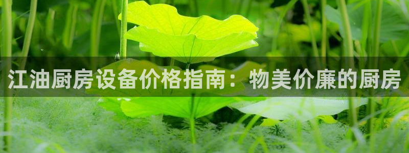 尊龙人生就是博用现金玩一下：江油厨房设备价格指南：物美价廉的