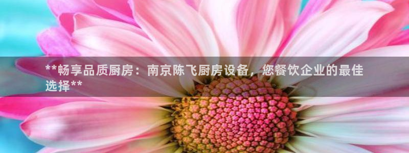 尊龙400：**畅享品质厨房：南京陈飞厨
