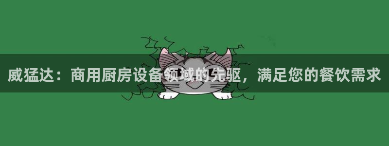 尊龙ag旗舰官网：威猛达：商用厨房设备领域的先驱，满足您的餐