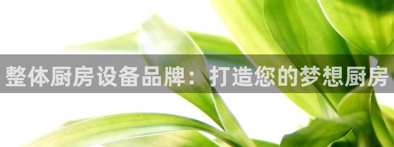 尊龙这个平台怎么样：整体