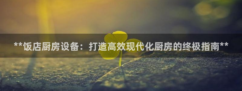 尊龙凯时取款一直支付中：**饭店厨房设备：打造高效现代化厨房