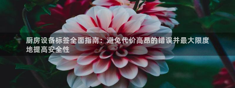 尊龙凯时人生就是博中国官网：厨房设备标签全面指南：避免代价高