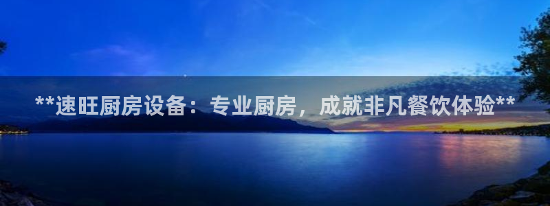 尊龙凯时官方网站：**速旺厨房设备：专业厨房，成就非凡餐饮体