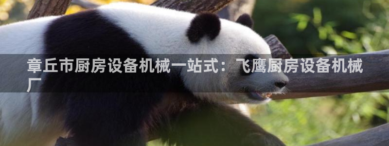 d88尊龙官网登录免费下载：章丘市厨房设备机械一站式：飞鹰厨