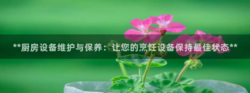 AG尊龙注册在线游戏：**厨房设备维护与保养：让您的烹饪设备