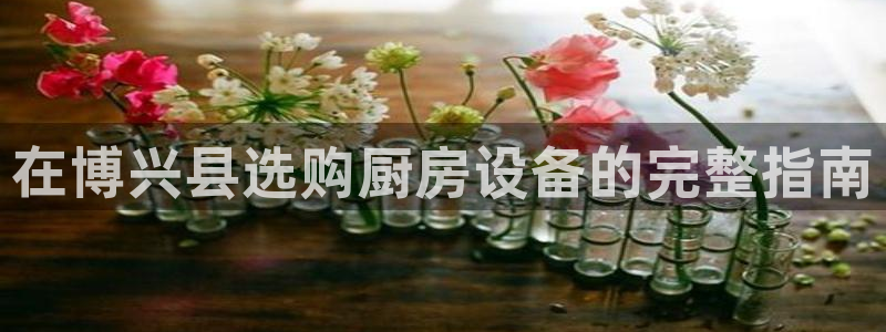 尊龙凯时百家乐手机下载：在博兴县选购厨房设备的完整指南