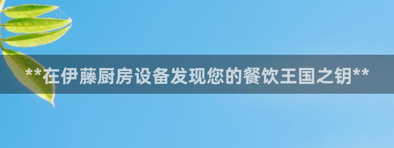 尊龙新版app：**在伊藤厨房设备发现您的餐饮王国之钥**