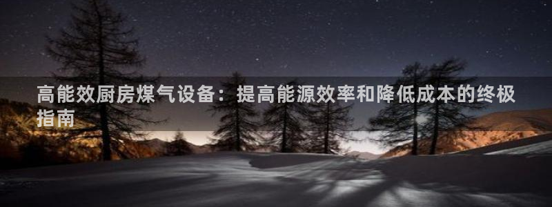 尊龙凯时代理官网入口：高能效厨房煤气设备：提高能源效率和降低