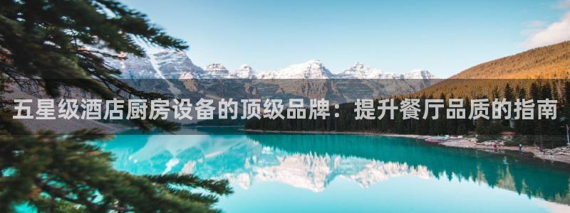 尊龙人生就是博中国区：五星级酒店厨房设备的顶级品牌：提升餐厅