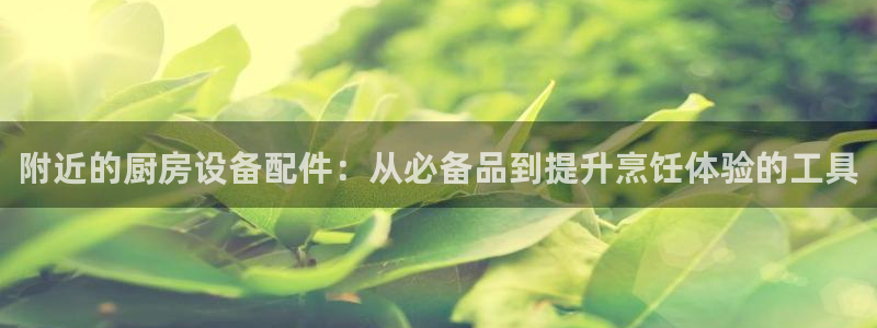 凯时官网app下载官方网站：附近的厨房设备配件：从必备品到提
