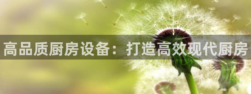 尊龙app注册官网：高品质厨房设备：打造高效现代厨房