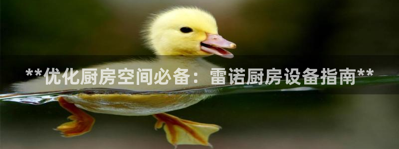 尊龙版末代皇帝：**优化厨房空间必备：雷诺厨房设备指南**