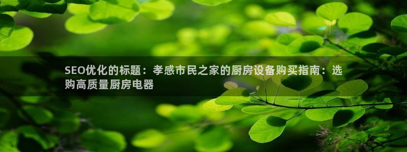 尊龙长相评价：SEO优化