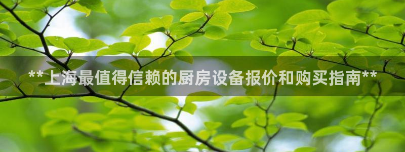 尊龙ag：**上海最值得