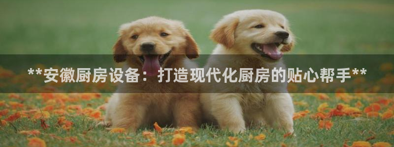 尊龙AG发财网：**安徽