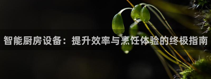 尊龙d88现金 旧版本可靠送38元：智能厨房设备：提升效率与