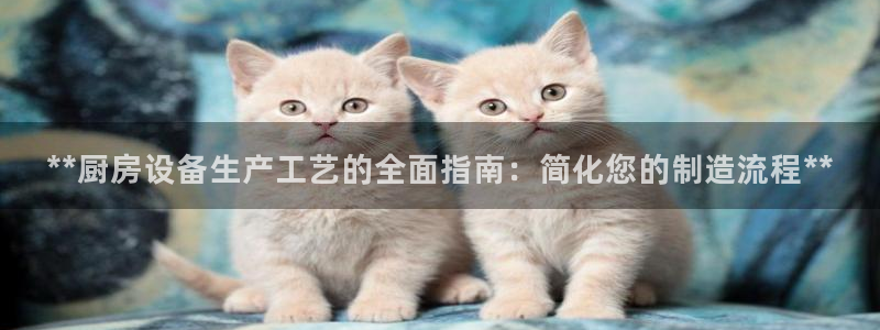 尊龙t400和尊龙t300区别：**厨房设备生产工艺的全面指