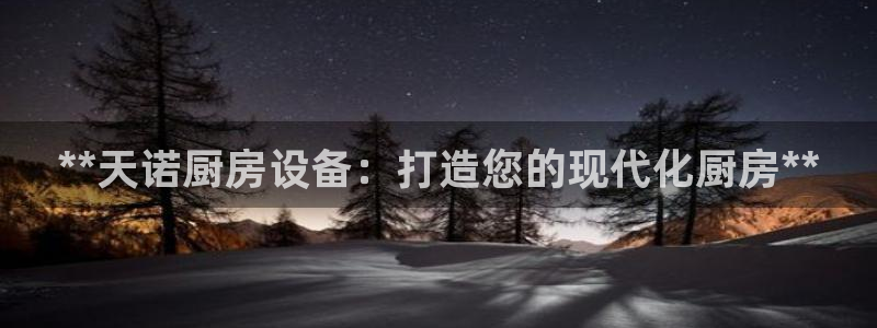 凯时网上官方网站：**天诺厨房设备：打造您的现代化厨房**