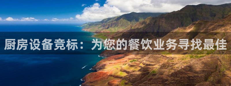 凯时ag旗舰厅：厨房设备竞标：为您的餐饮业务寻找最佳