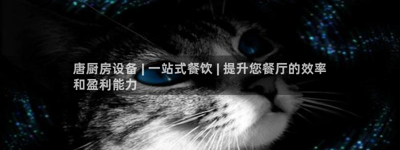 尊龙官网APP下载：唐厨房设备 | 一站式餐饮 | 提升您餐