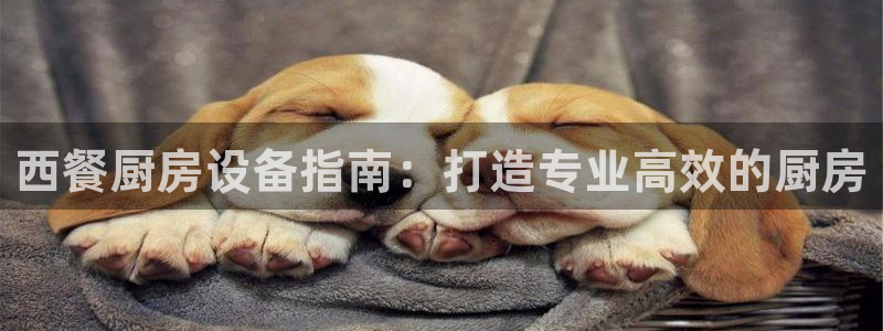 尊龙凯时 人生就是搏!：西餐厨房设备指南：打造专业高效的厨房