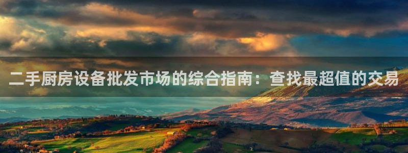 尊龙公司：二手厨房设备批发市场的综合指南：查找最超值的交易