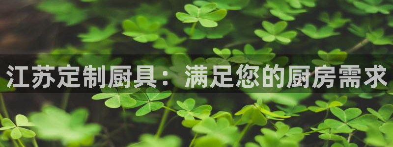 新版尊龙99：江苏定制厨具：满足您的厨房